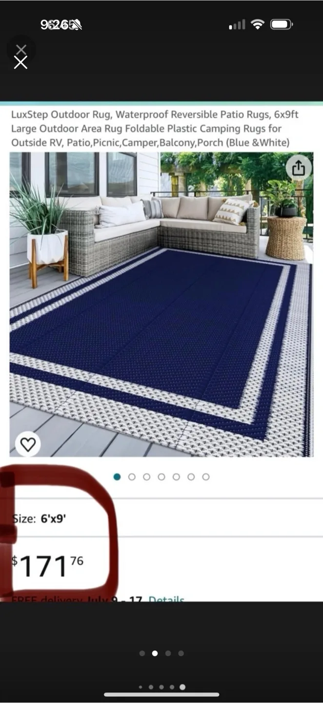 Brand New! Excellent Quality Outdoor Rug 6x9 image indicator(2)