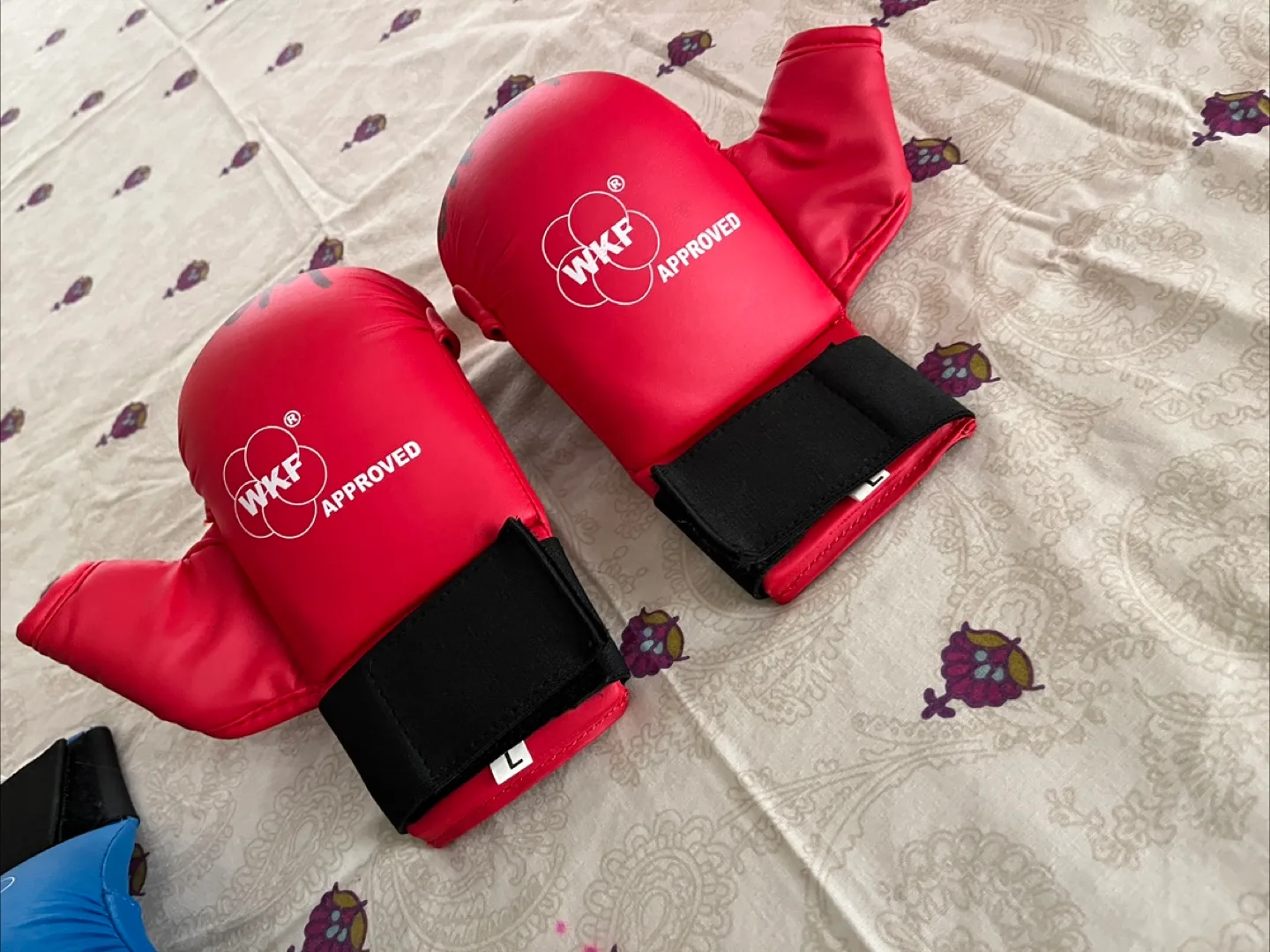 Red and Blue Karate Gloves - WKF Approved image indicator(2)