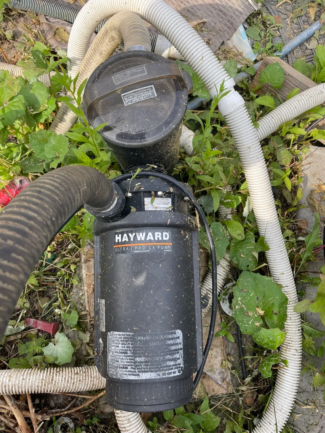 Hayward Ultra Pro LX Pump thumbnail