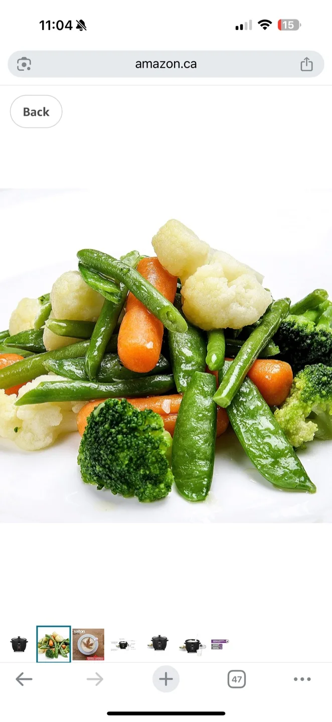 Salton Rice Cooker image indicator(2)