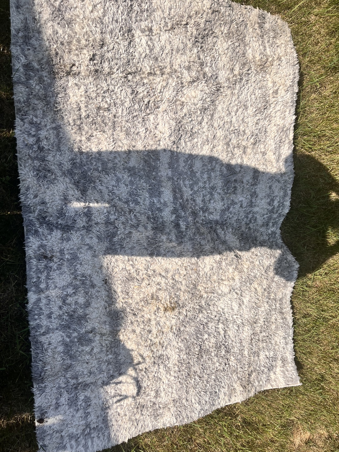 Three Rugs For Free - photo 2