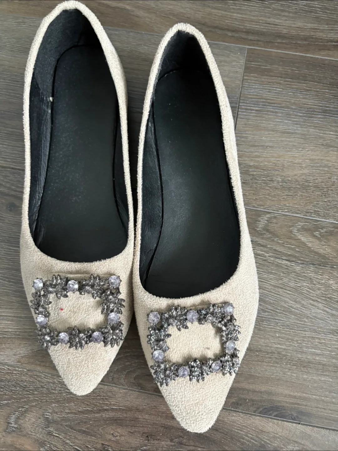 Beige Flats with Embellishments thumbnail
