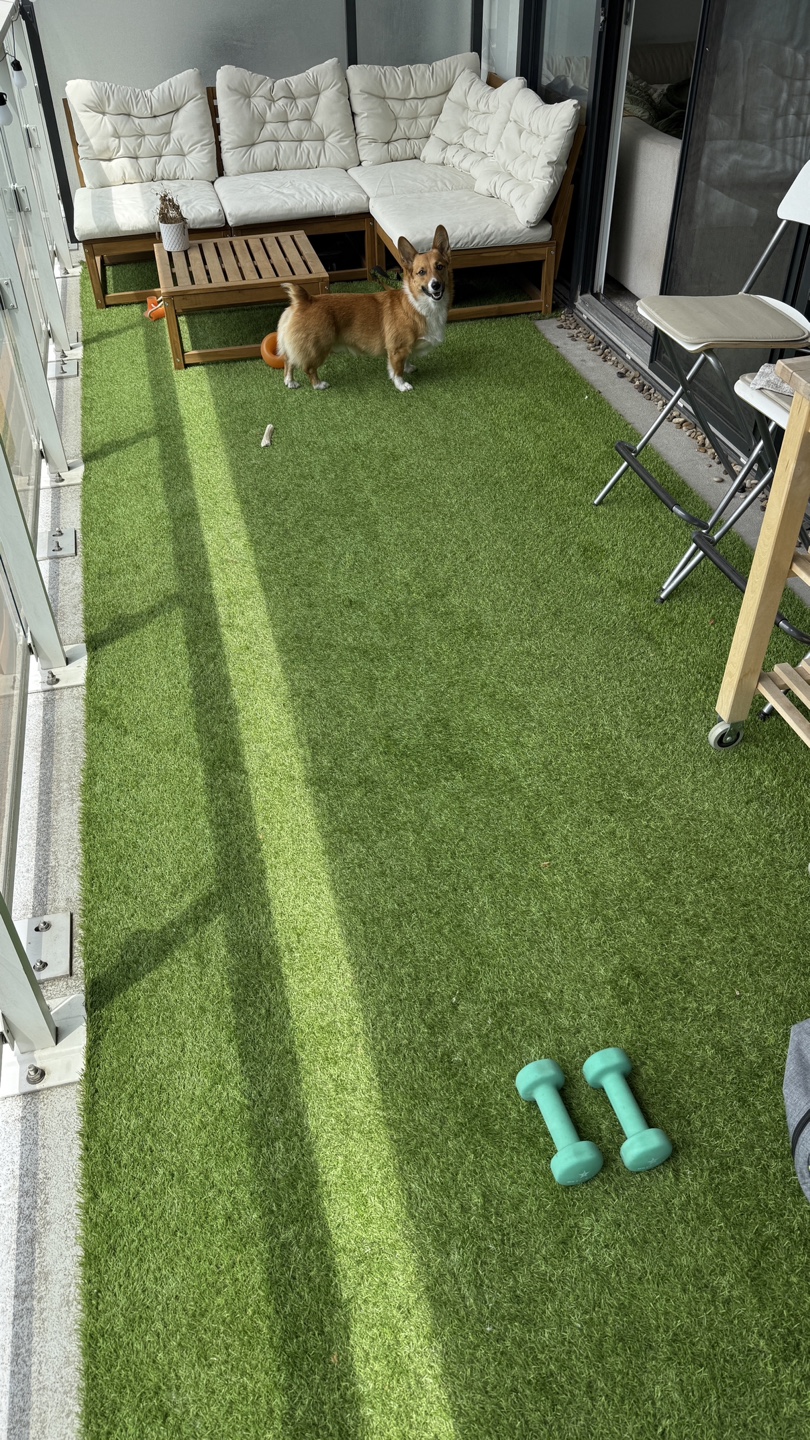 Artificial Turf Grass