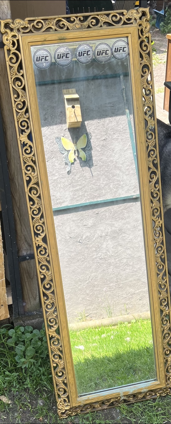 Ornate Gold Framed Mirror