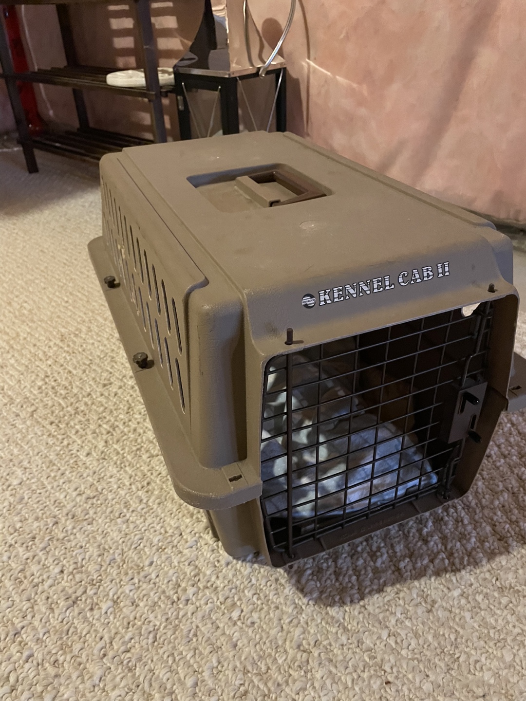 Kennel Cab II Pet Carrier