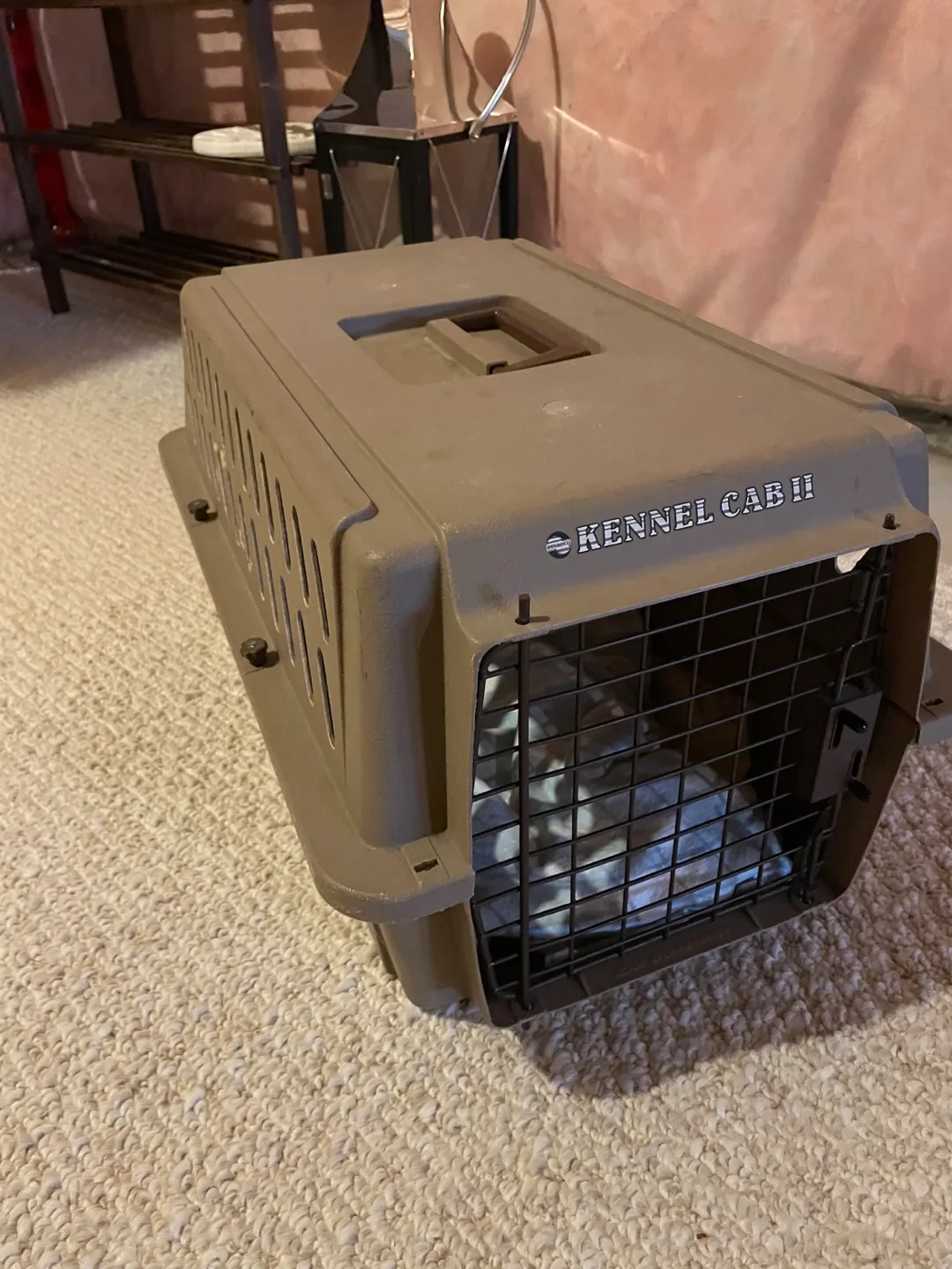 Kennel Cab II Pet Carrier thumbnail
