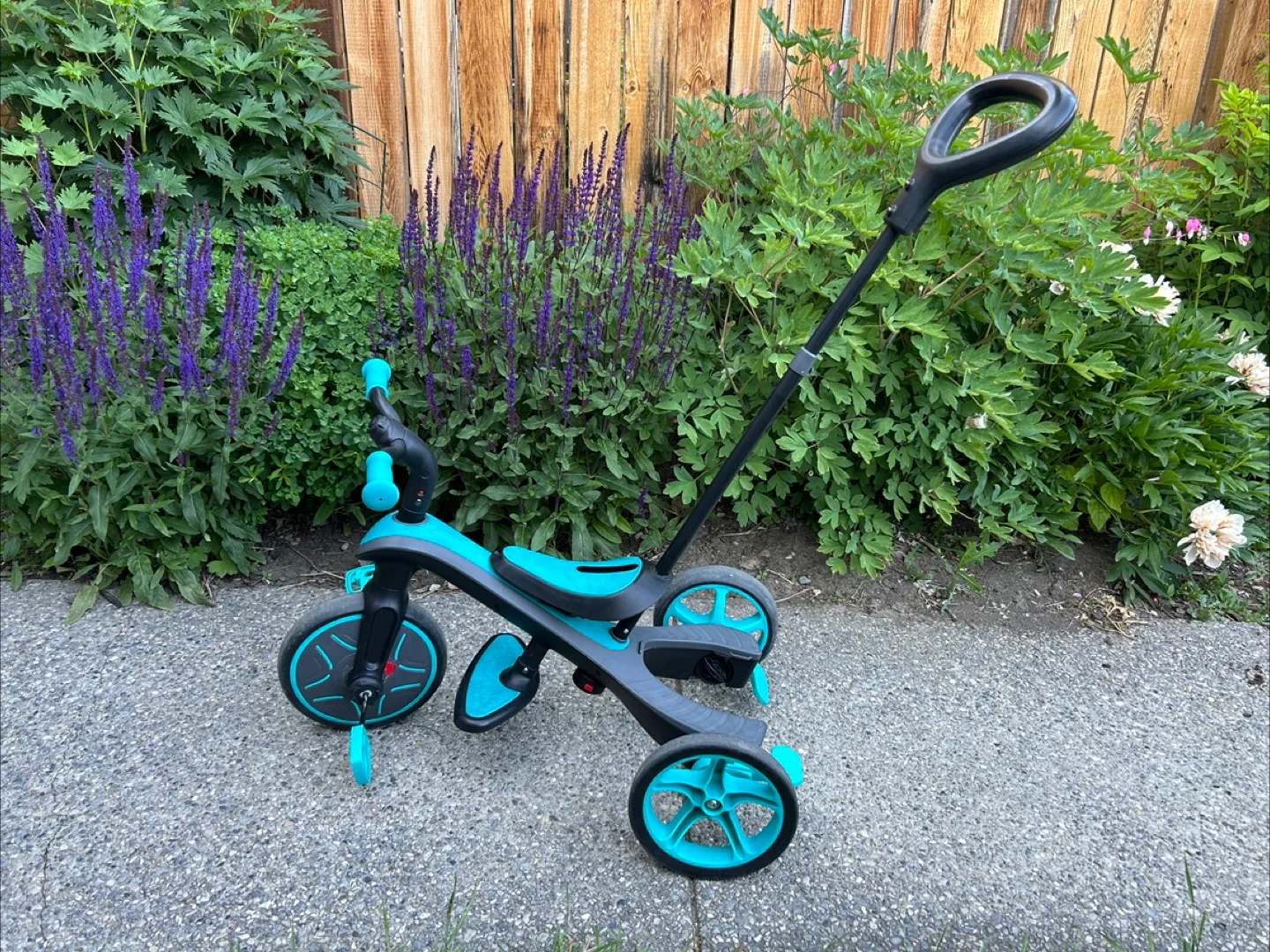 Globber - Explore Trike 4 in 1 image indicator(2)