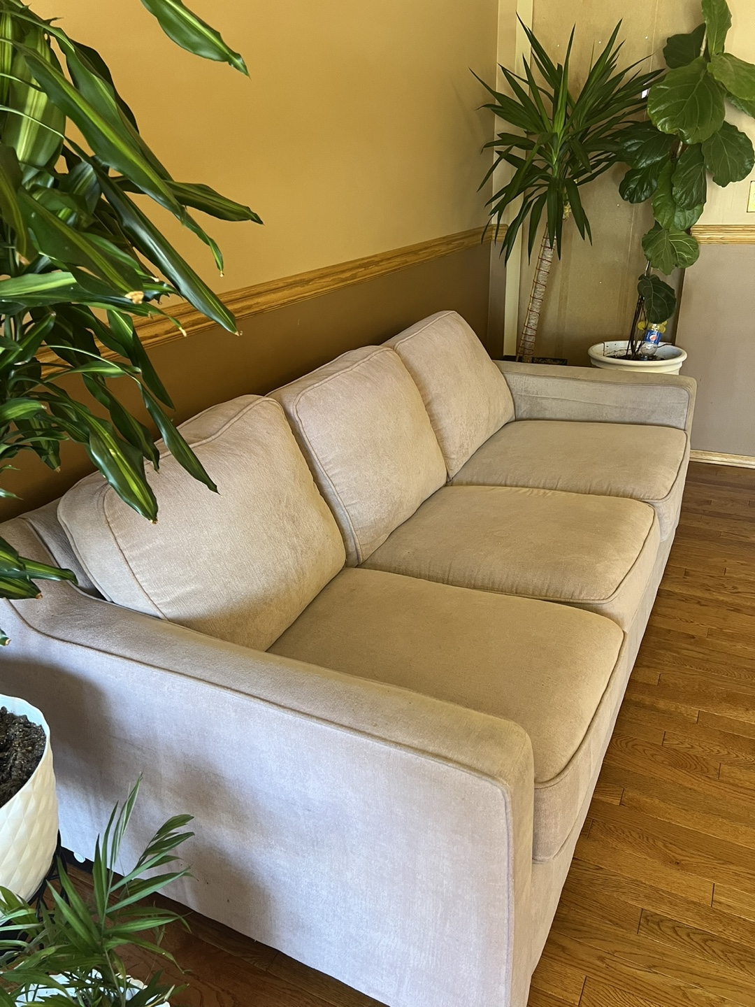 Beige Couch