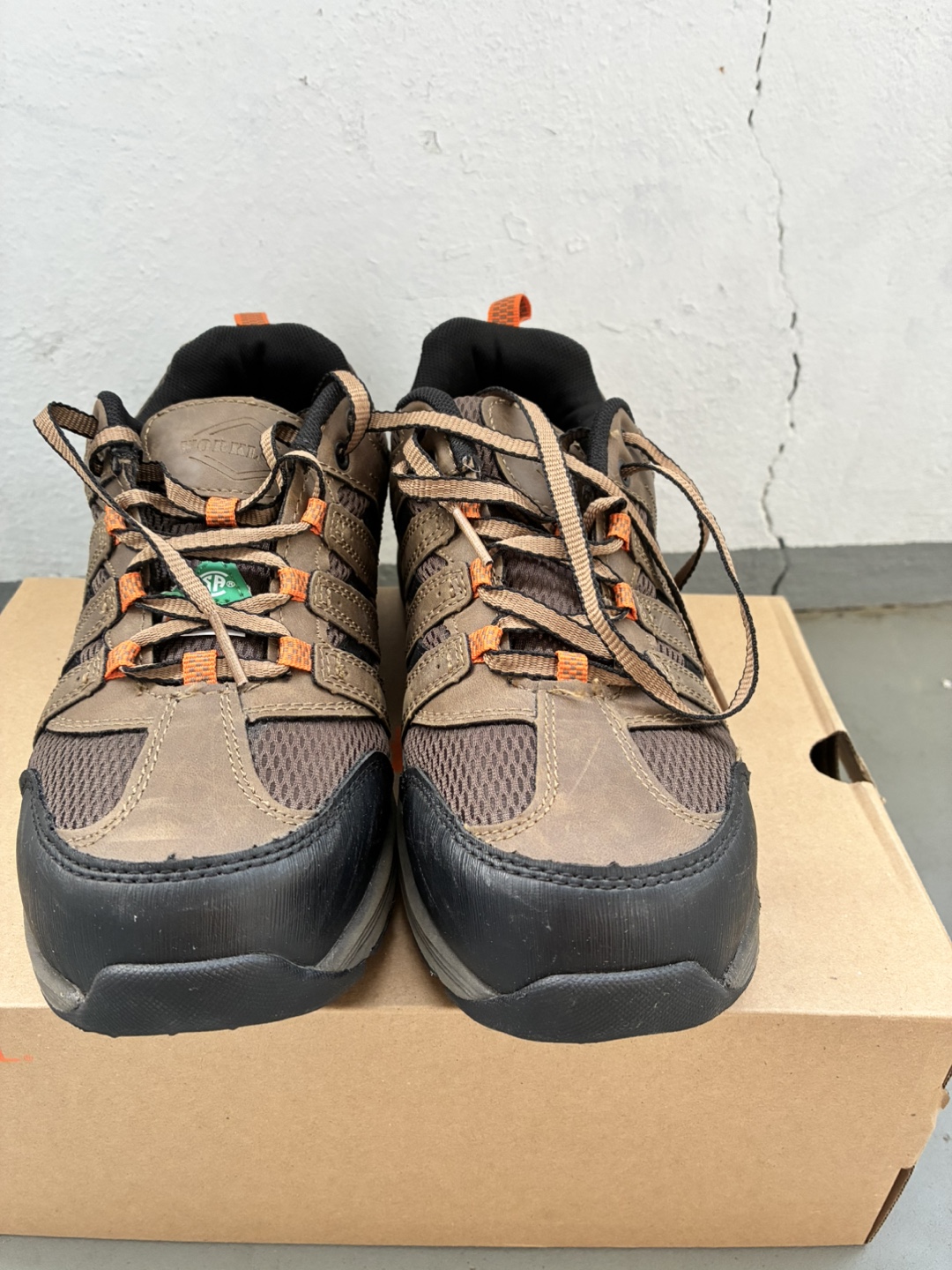 🥕Workload Safety Shoes💚 for women