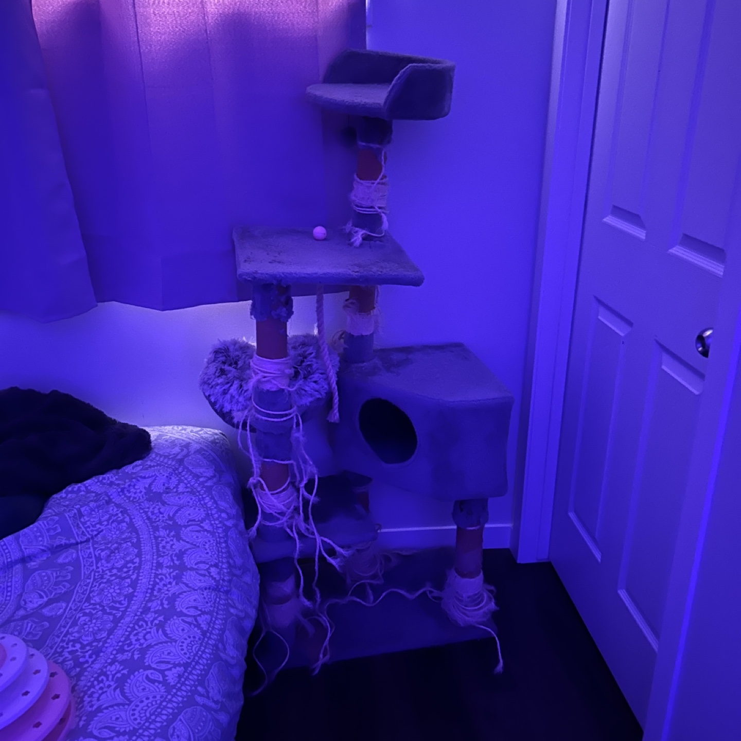 Cat Tree