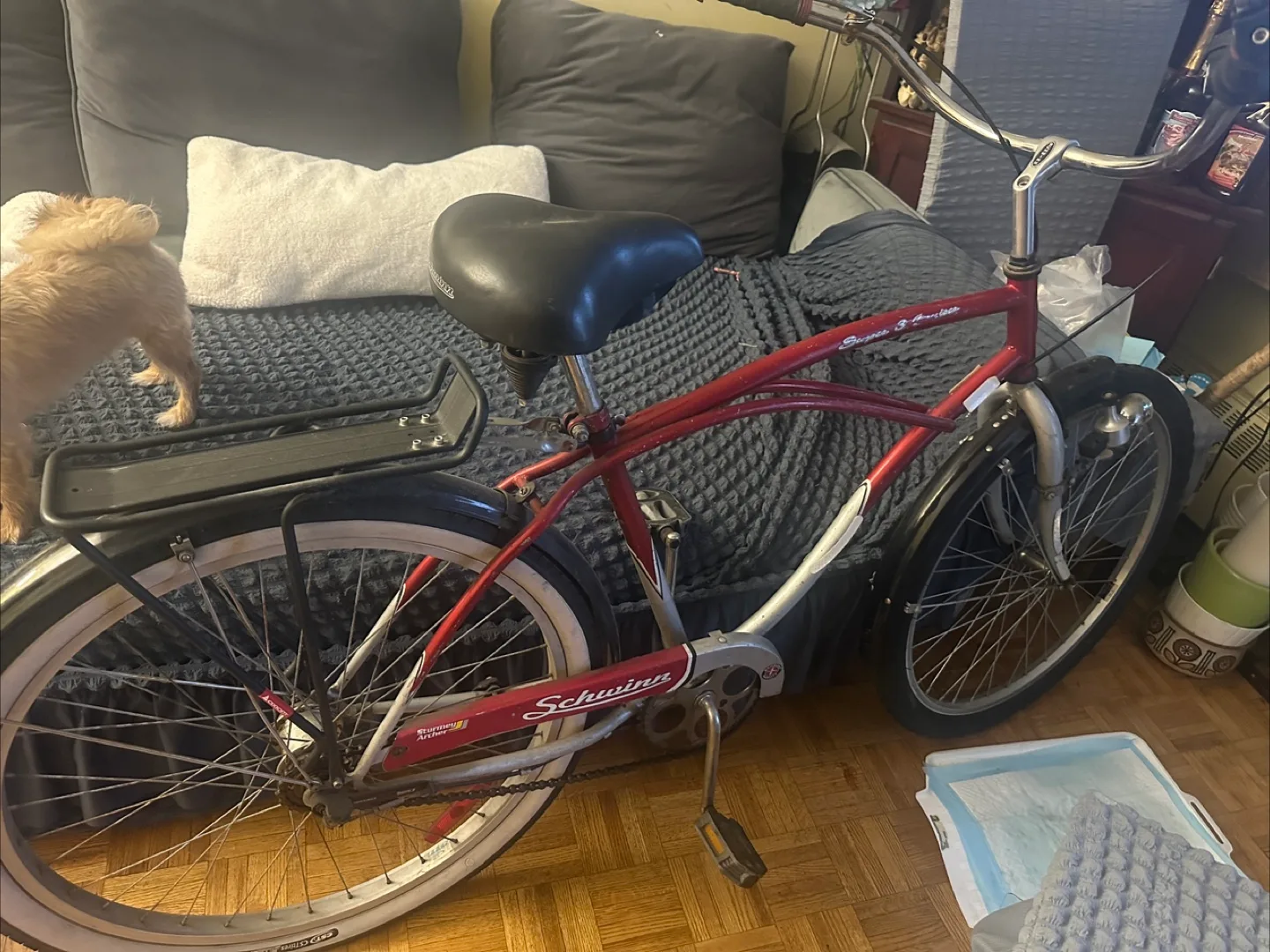 Schwinn Summers Archer Bicycle image indicator(2)