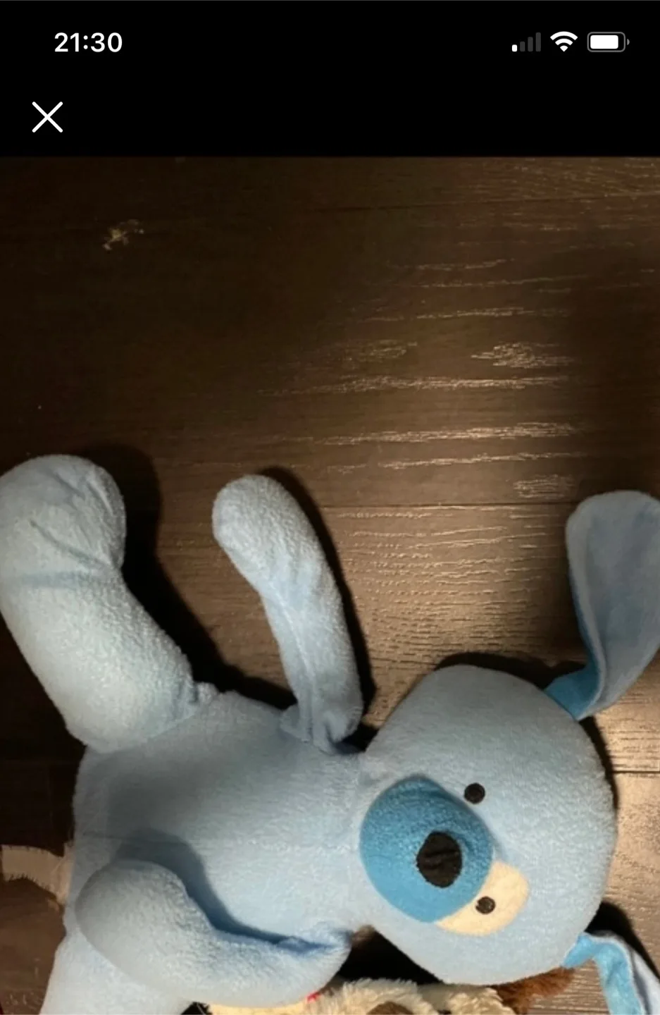 Blue Dog Plush Toy thumbnail