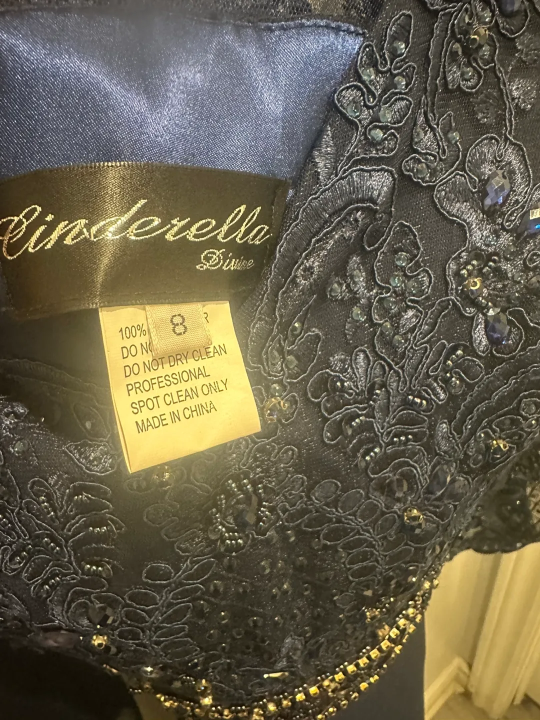 Cinderella Divine Evening Gown - Size 8 image indicator(5)