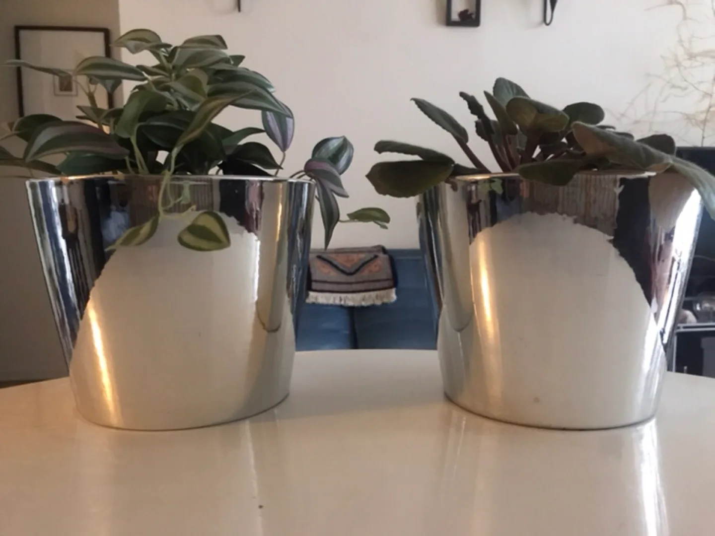 2 METALLIC PLANT POTS with 2 Free Inserts image indicator(6)