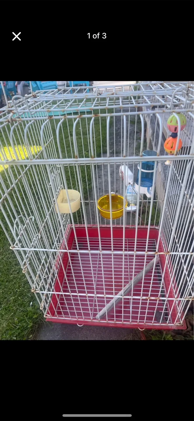 Bird cage for sale image indicator(3)