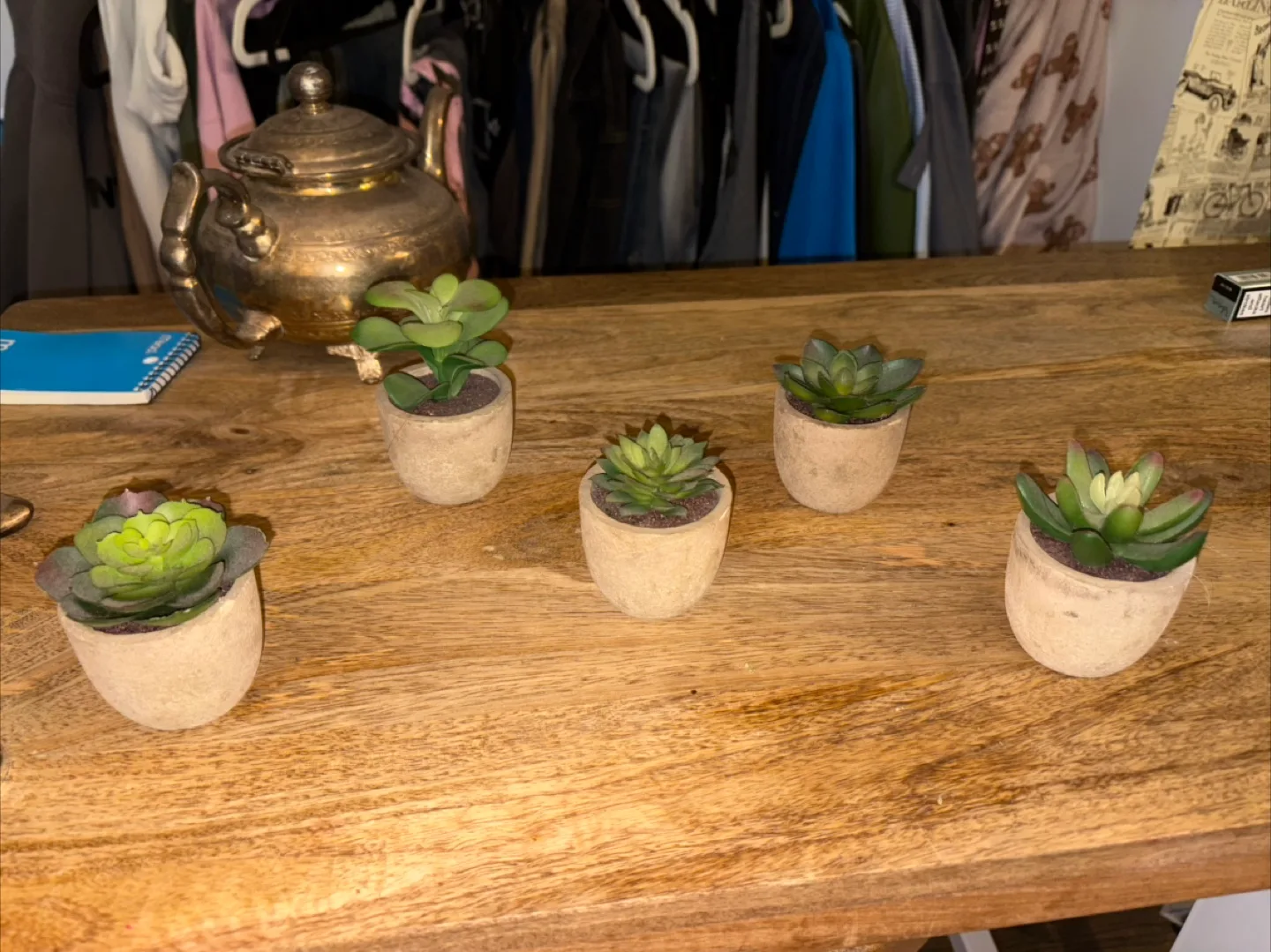 Set of Mini Faux Succulents thumbnail