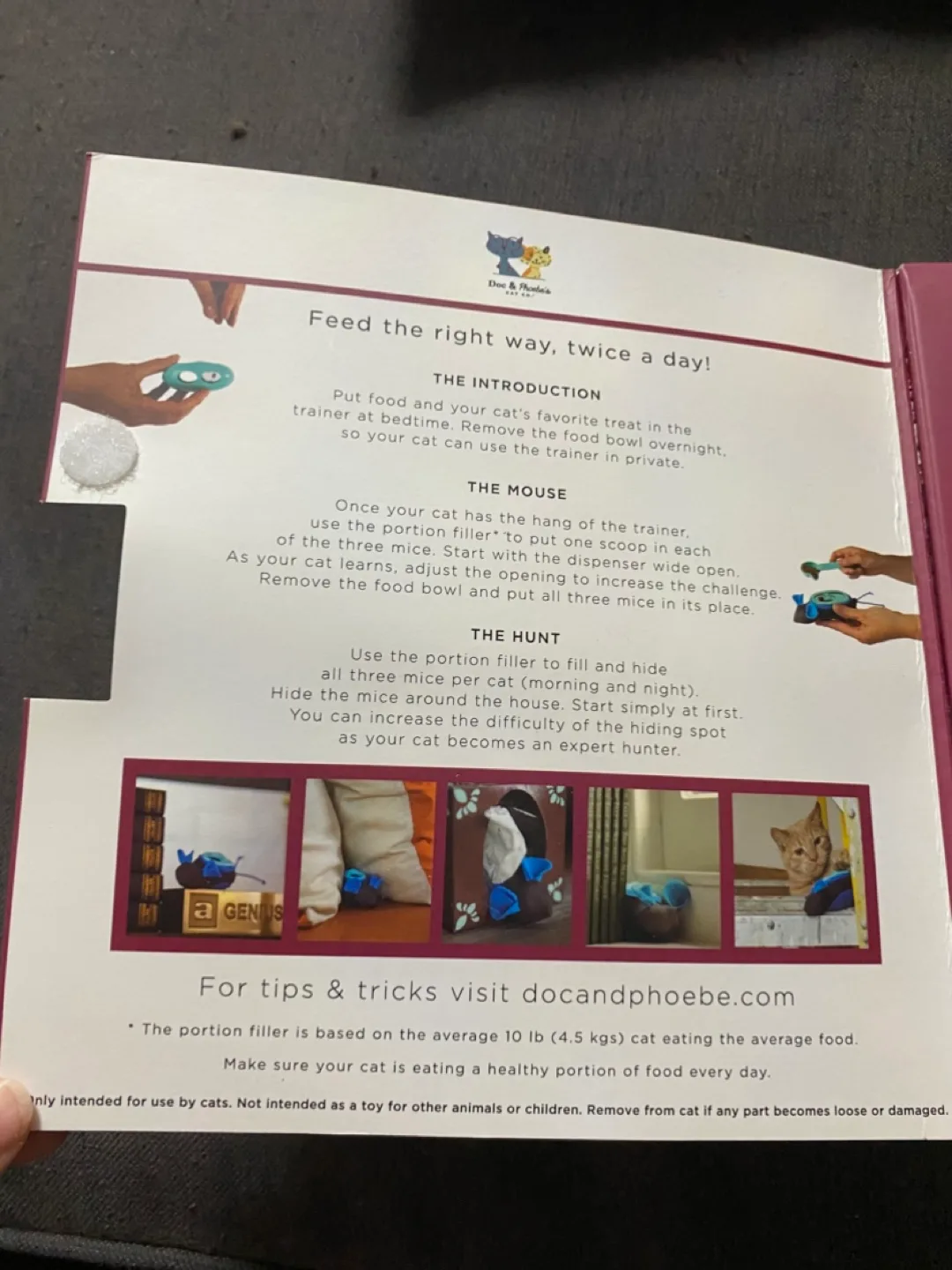 Cat Hunting Feeder Toy - New 🥕 image indicator(3)