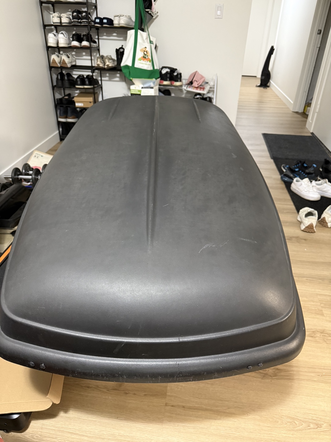 Thule Excursion Roof Cargo Box - photo 2