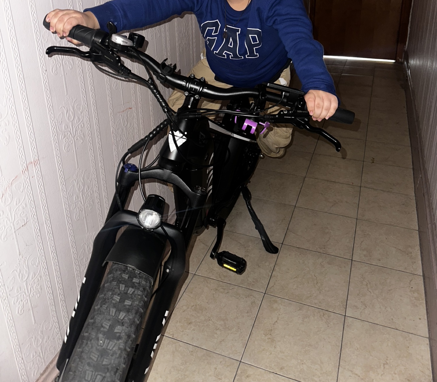 Vivi ACE01 Electric Bike - photo 3