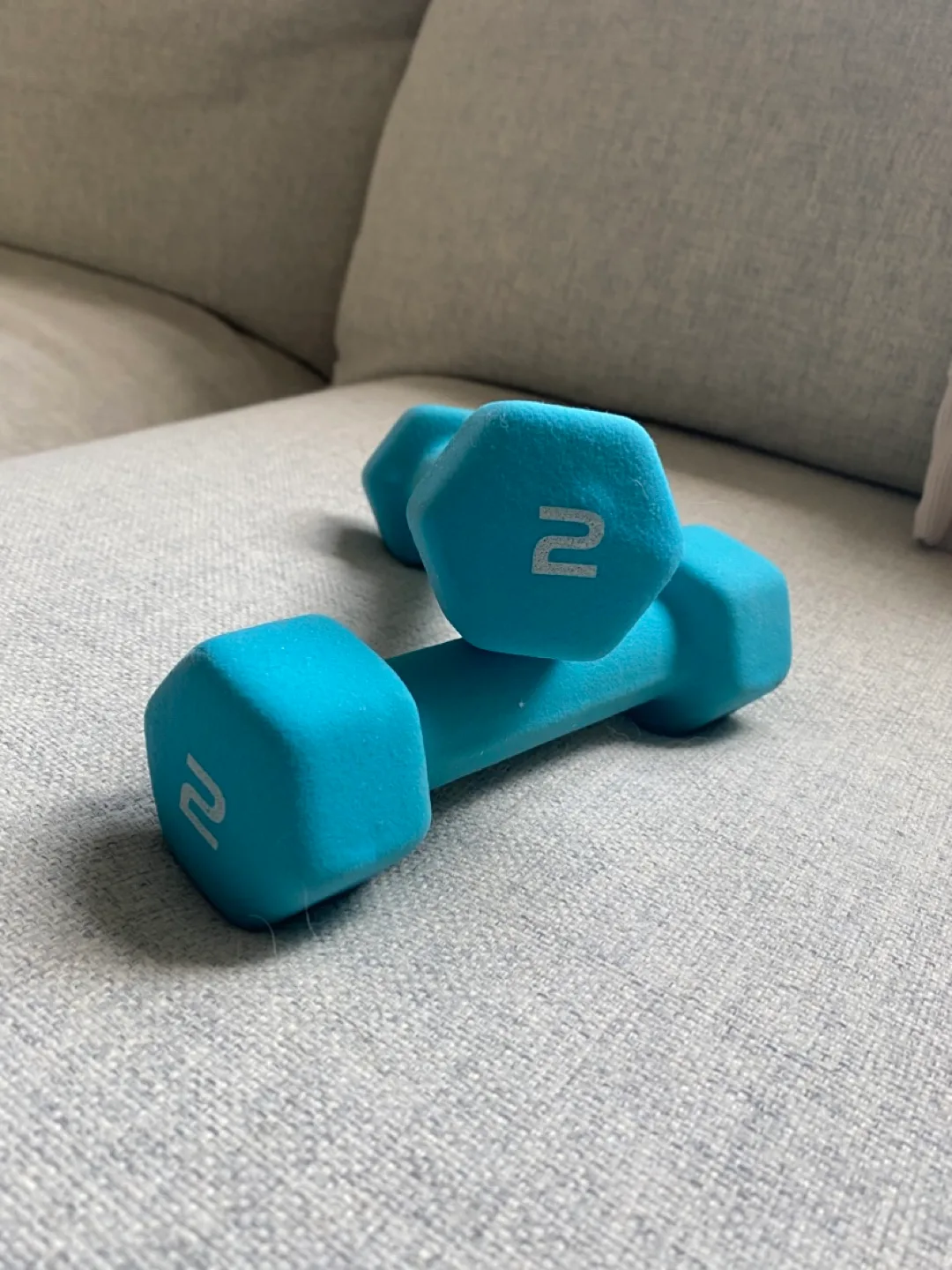 Lightweight Dumbbells - 2 lbs thumbnail