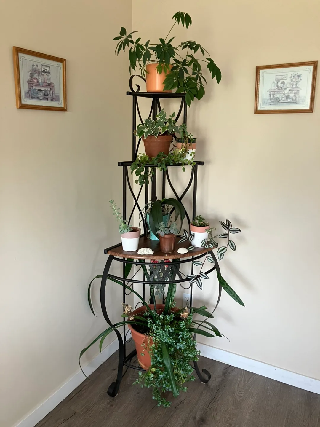 Wrought Iron Plant Stand thumbnail