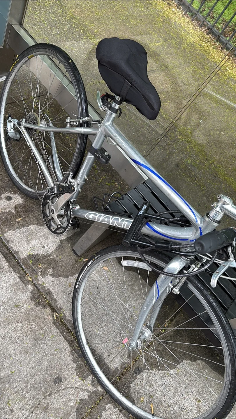 Silver Hybrid Bicycle image indicator(4)