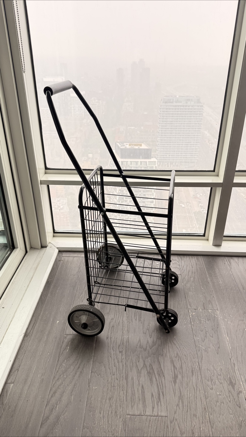 Black Folding Shopping Cart