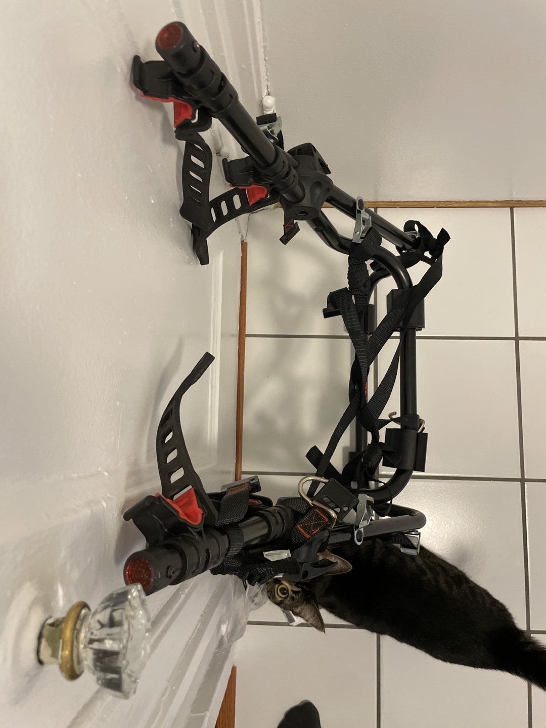 Malone Bike Rack from etrailer.com - photo 3