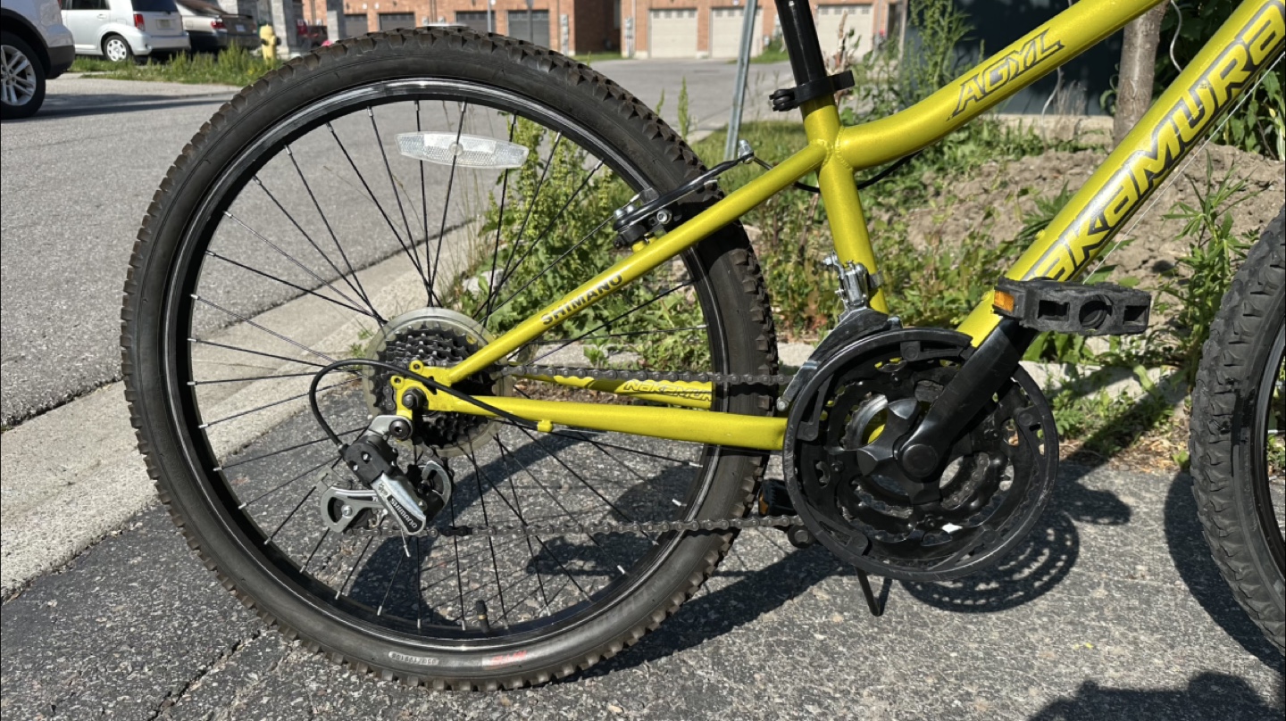 24” Nakamura Bicycle - photo 2
