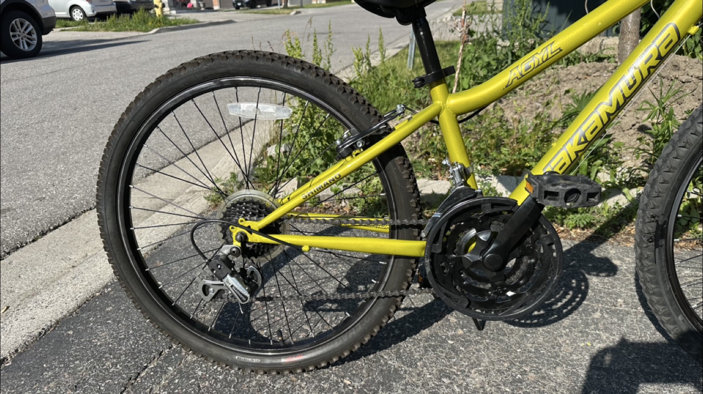 24” Nakamura Bicycle - photo 3
