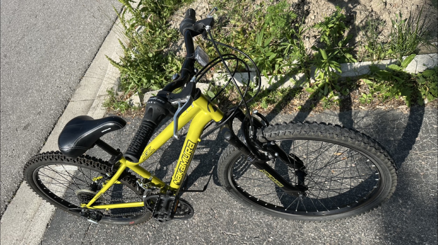 24” Nakamura Bicycle - photo 5