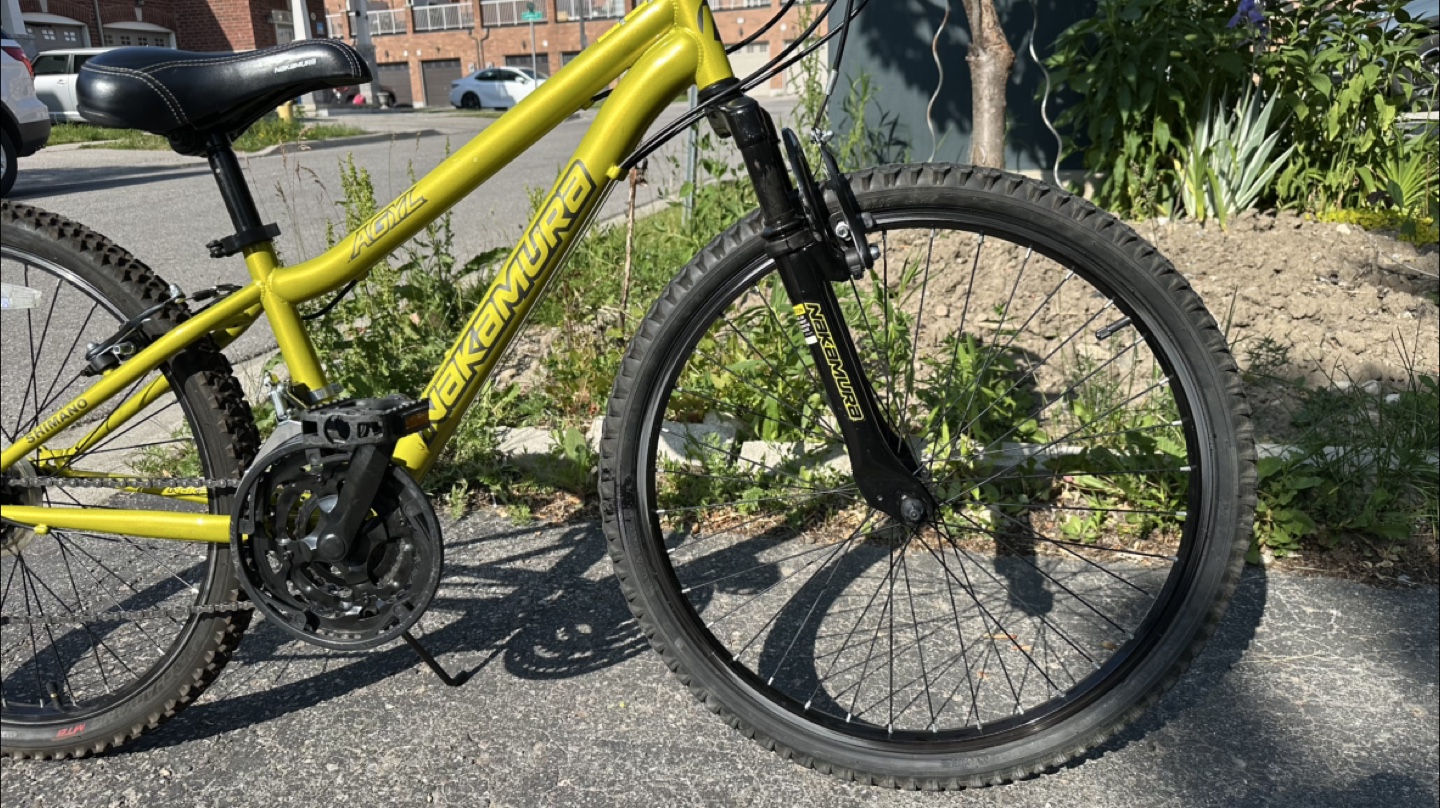 24” Nakamura Bicycle - photo 4