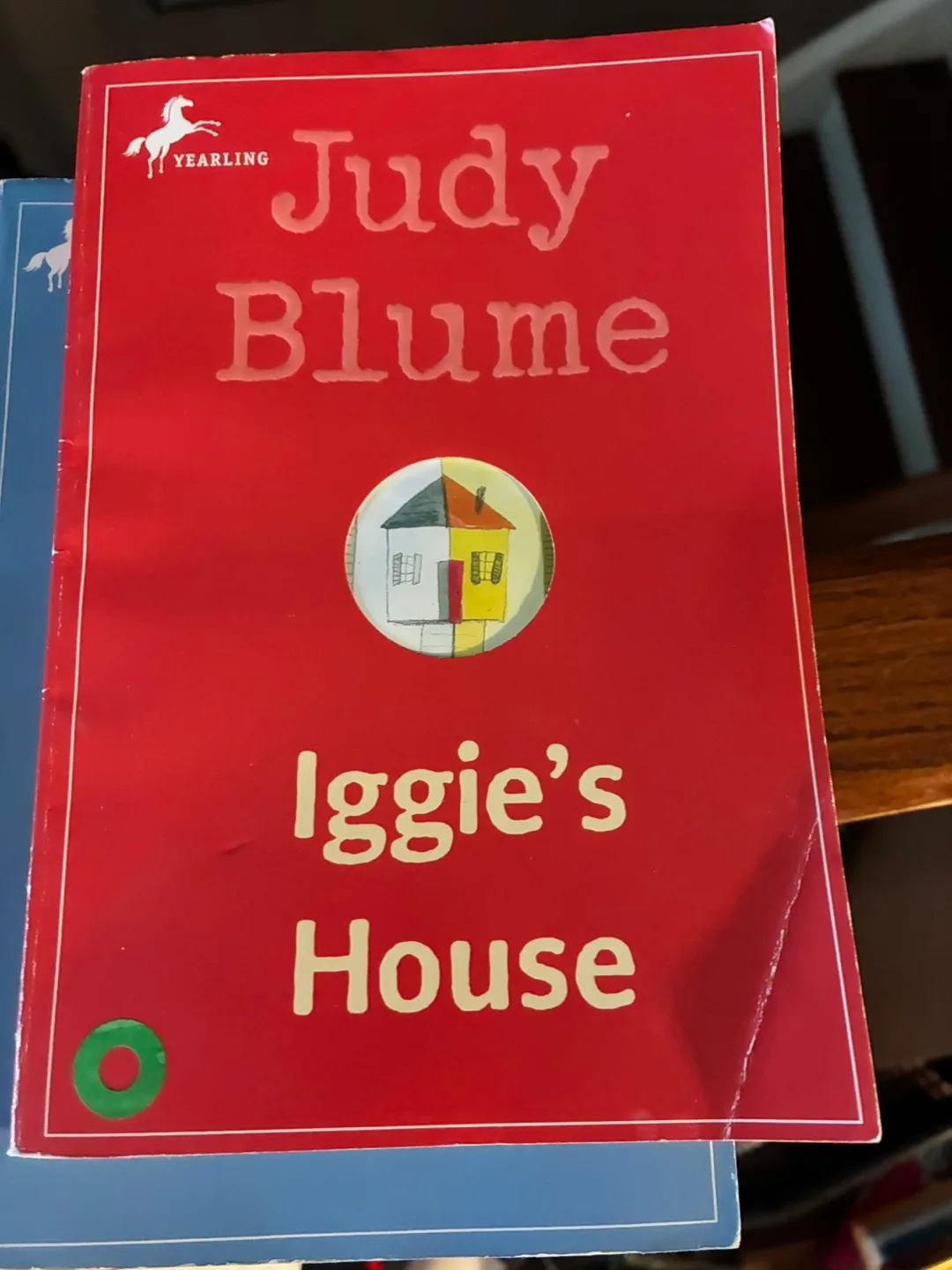Judy Blume Book Collection image indicator(4)