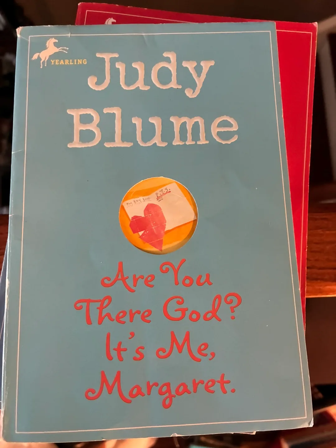 Judy Blume Book Collection image indicator(6)
