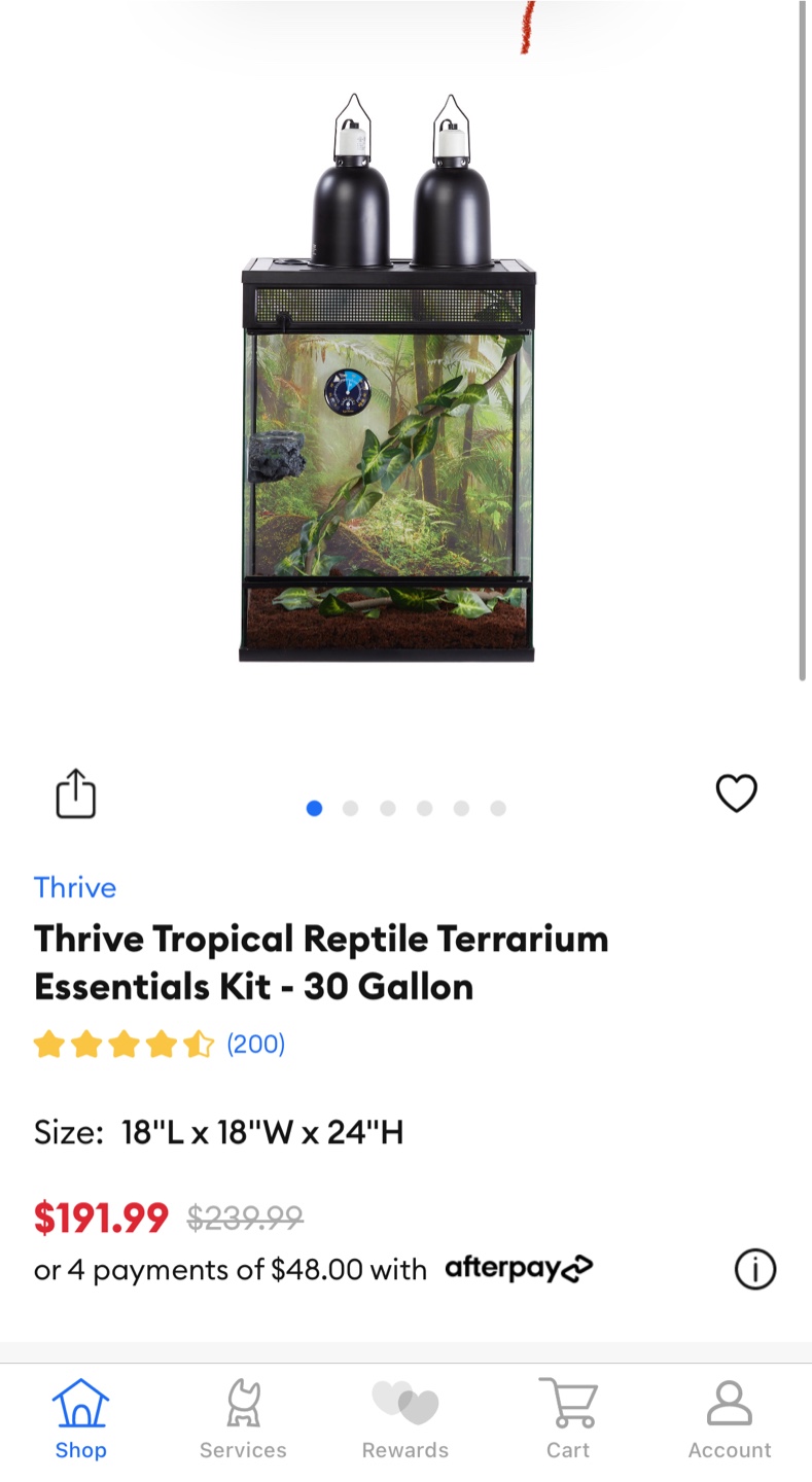 Crested Gecko 30 Gallon Tropical Terrarium - photo 2
