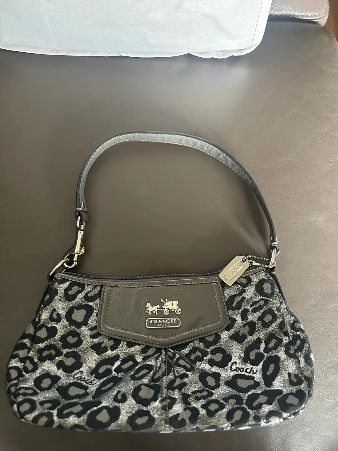 Coach bag thumbnail