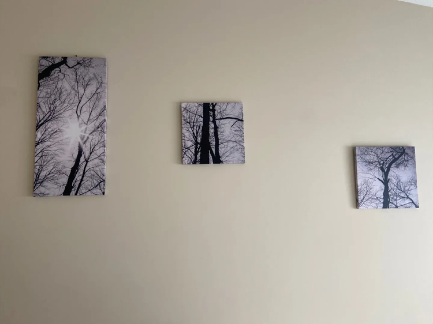 Set of 3 Tree Wall Art Prints thumbnail