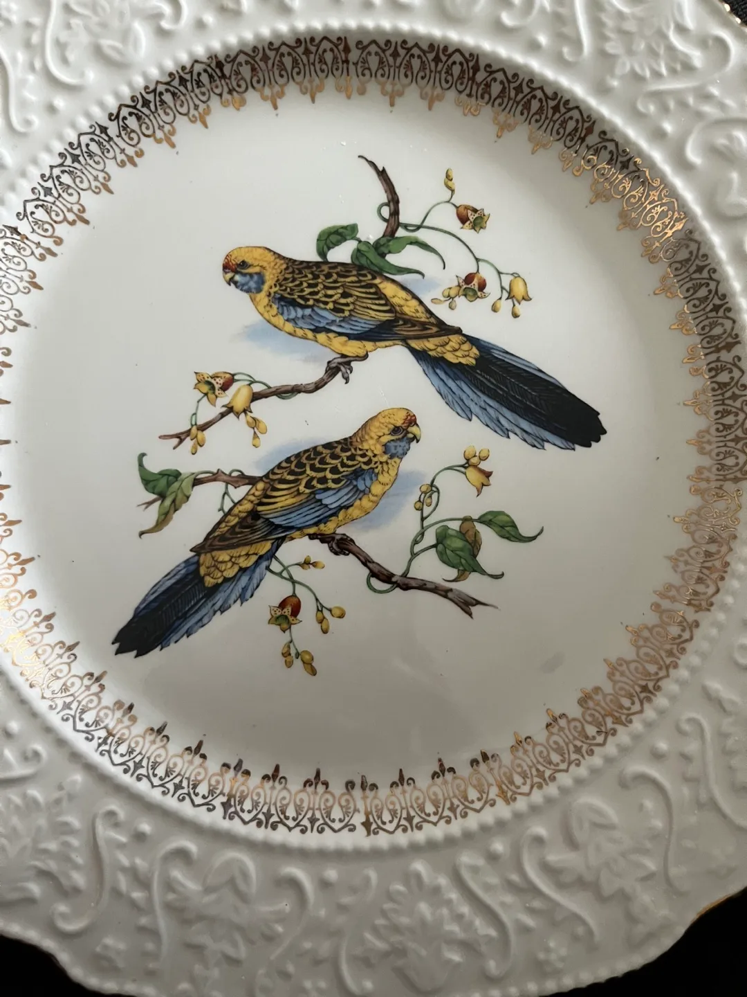 Vintage Parakeet Plate by Wood & Sons image indicator(3)