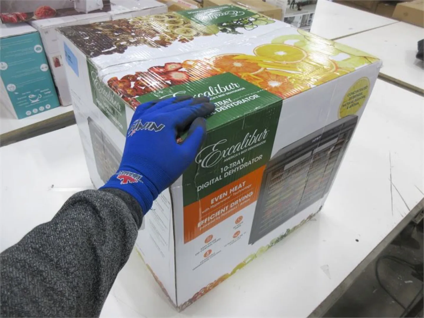 Excalibur 10-Tray Digital Food Dehydrator image indicator(3)