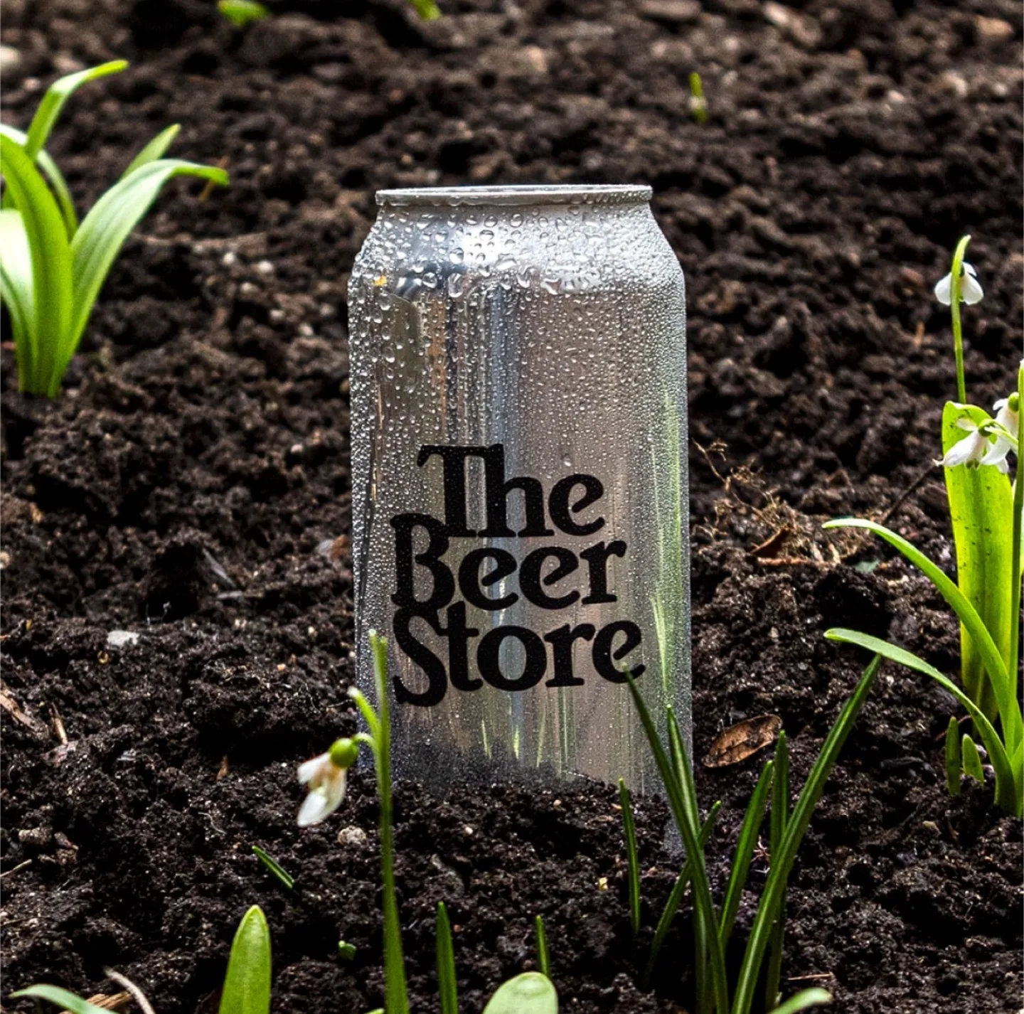 FREE BEER/LIQUOR CAN & BOTTLE PICKUP 🥕 image indicator(8)