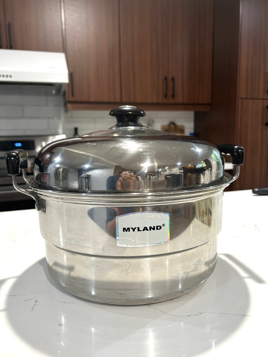 Stainless Steel Steamer Pot