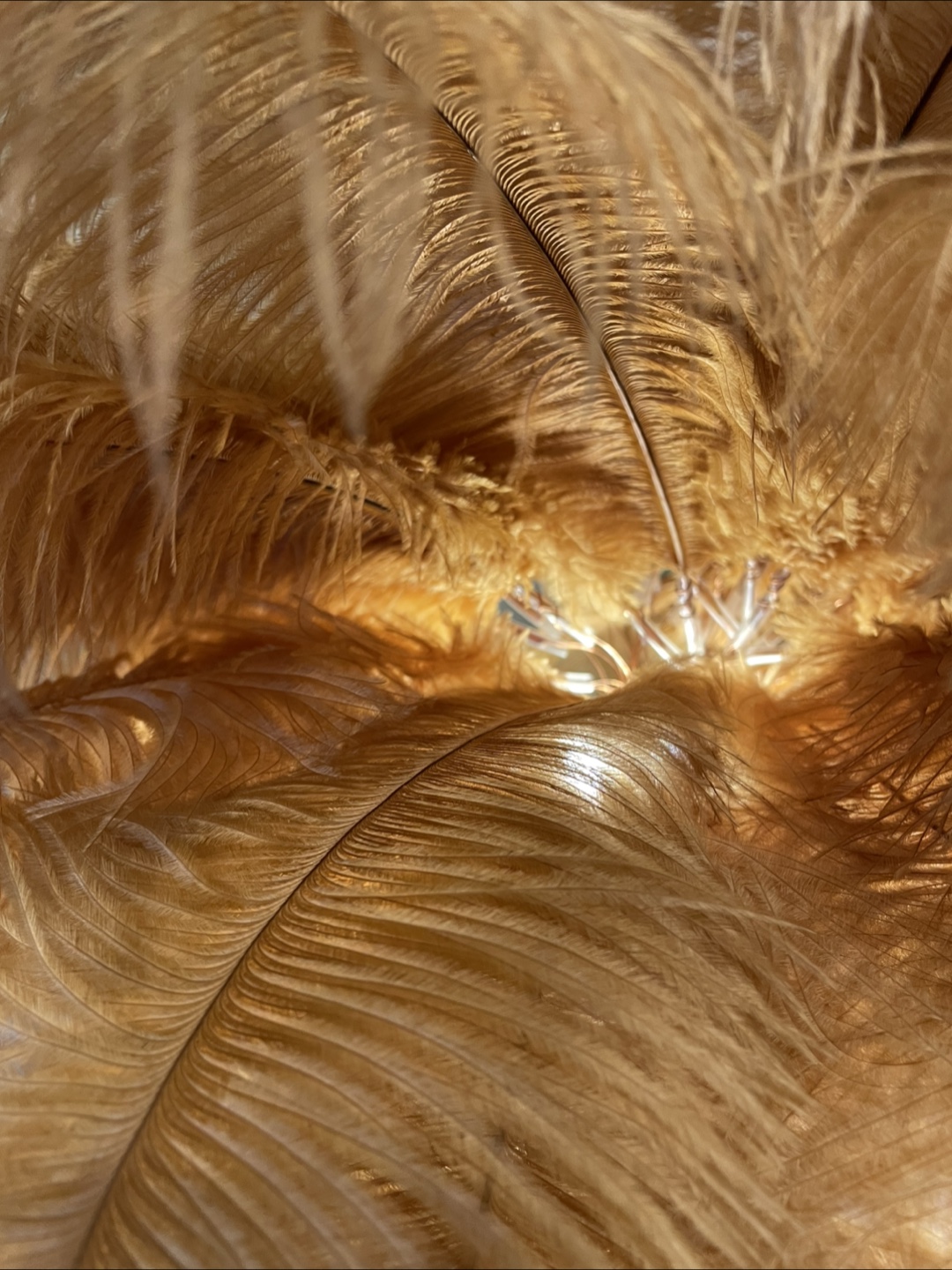 Feather Floor Lamp - photo 4