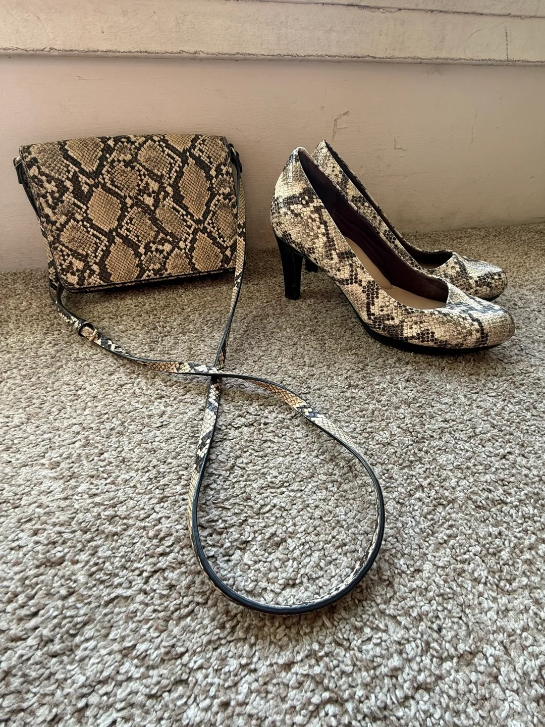 Matching Snake Print Purse and Shoes thumbnail