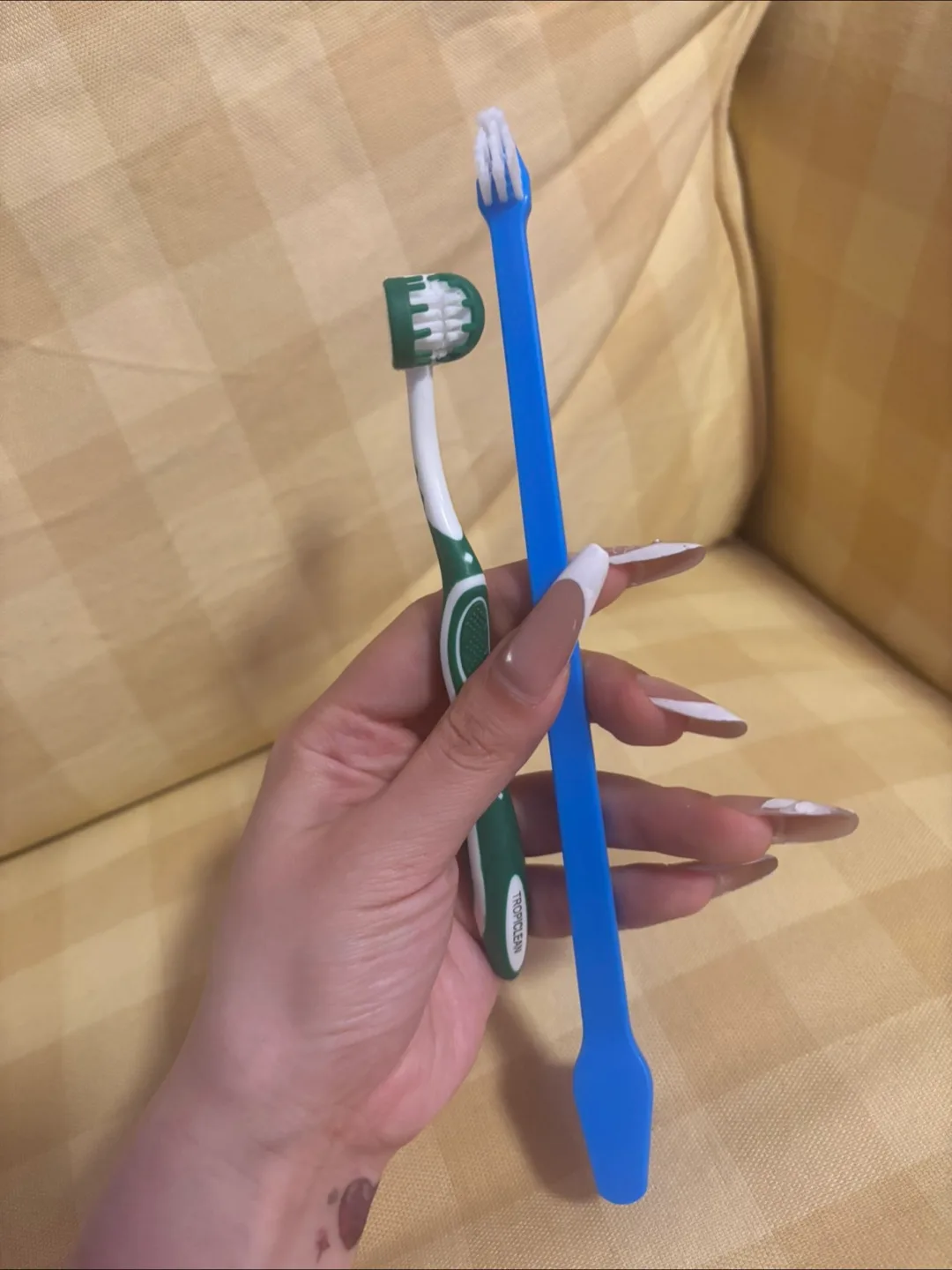 Dental Brushes for pets thumbnail