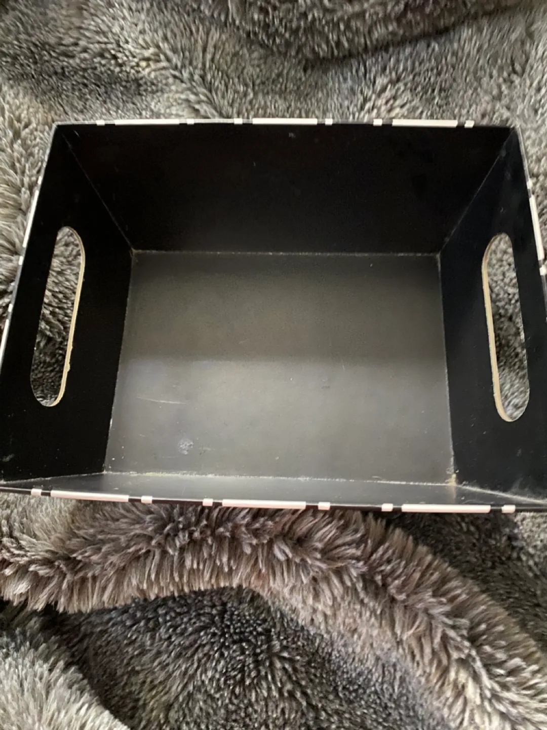 Paw Print Tray 🥕 image indicator(2)