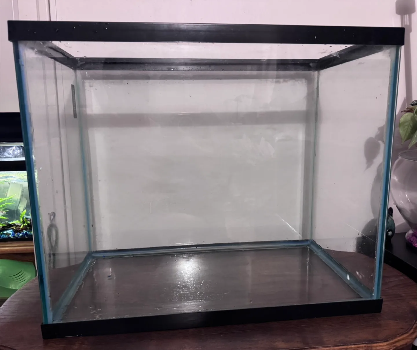 Moving Sale Aquarium Around 30 Gallon thumbnail