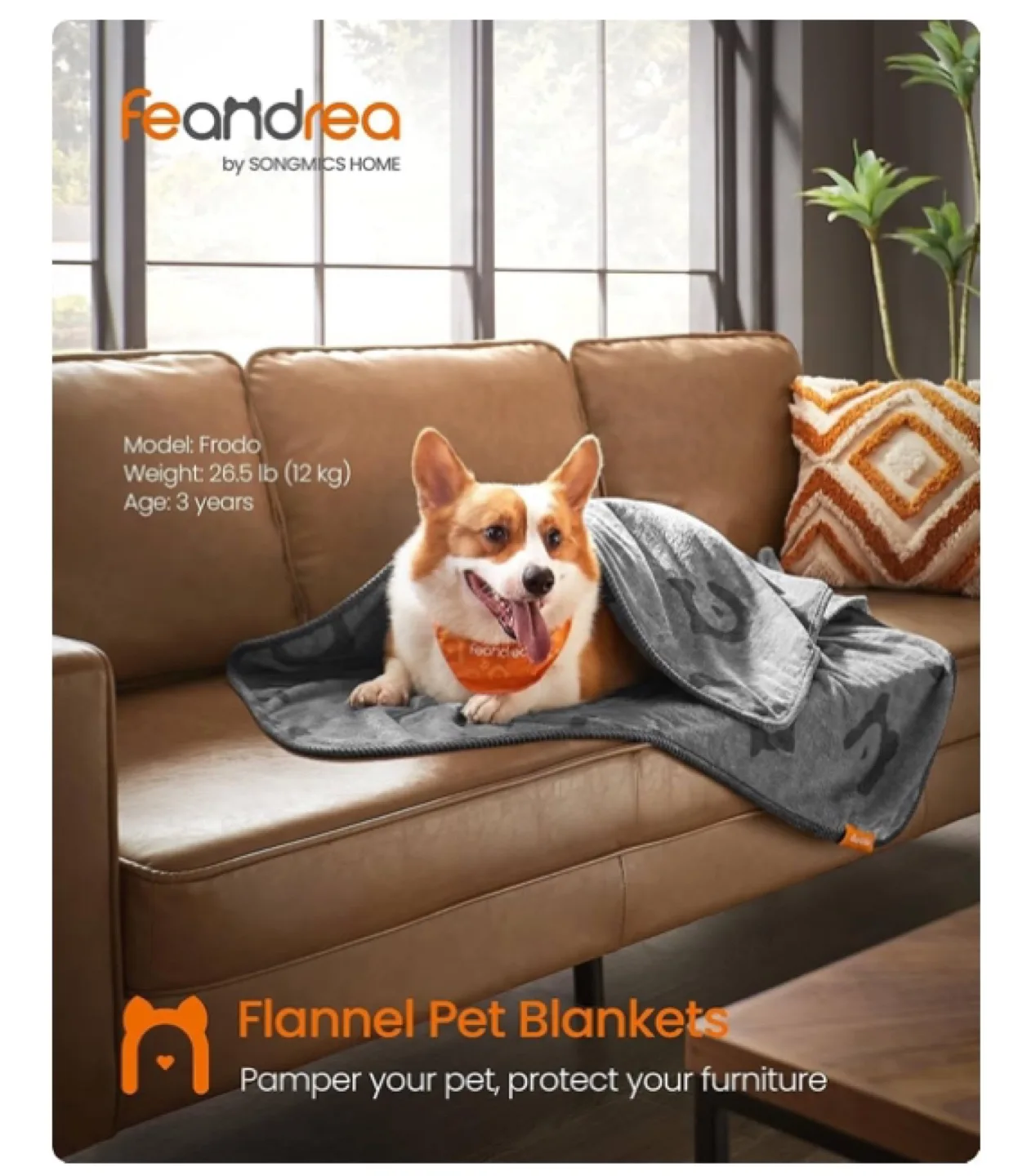 BRAND NEW 3-Pack Cozy Dog / Cat Blankets 🐶🖤 image indicator(8)