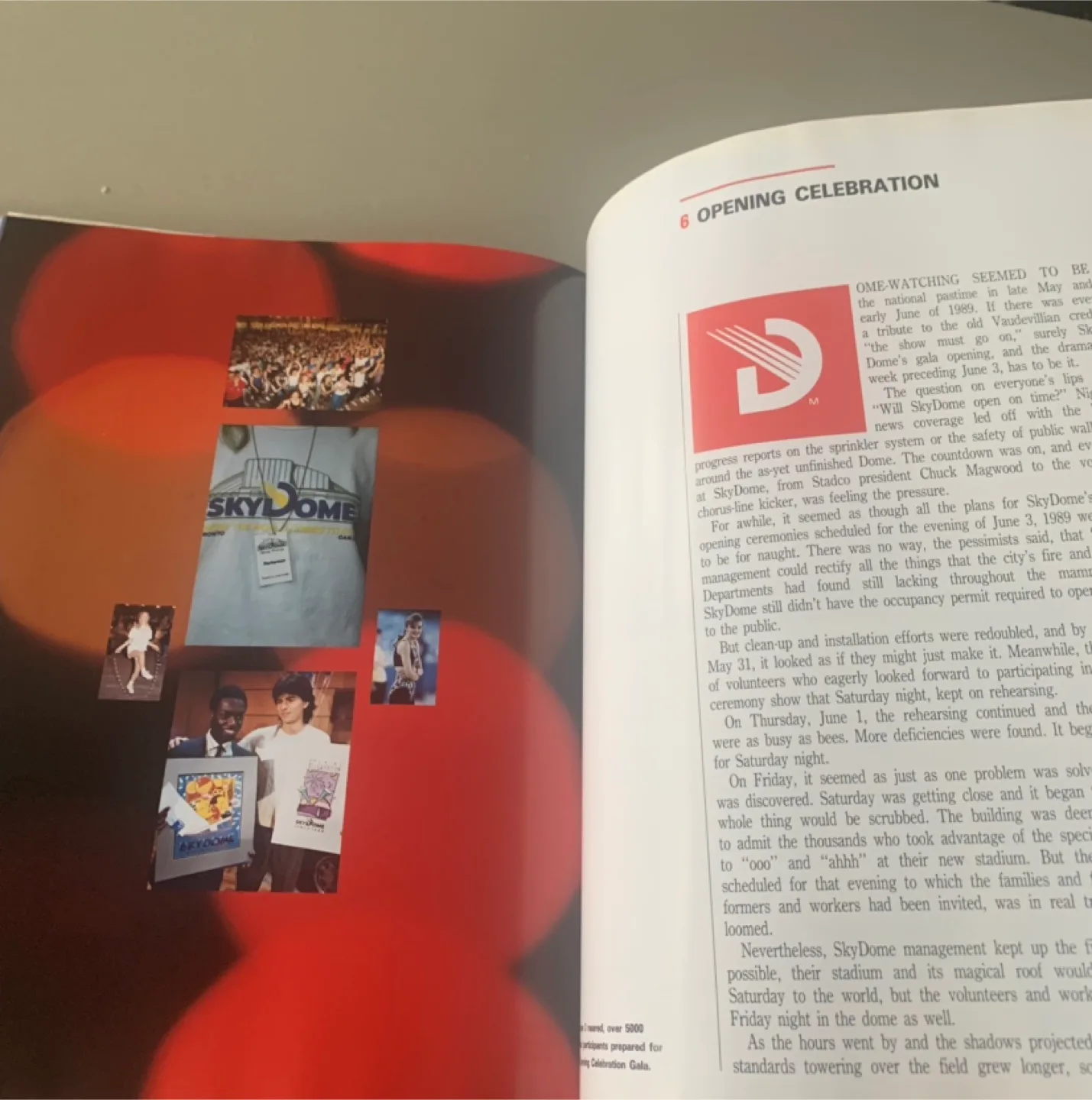 Like No Other in the World: The Story of Toronto's Skydome Book image indicator(4)