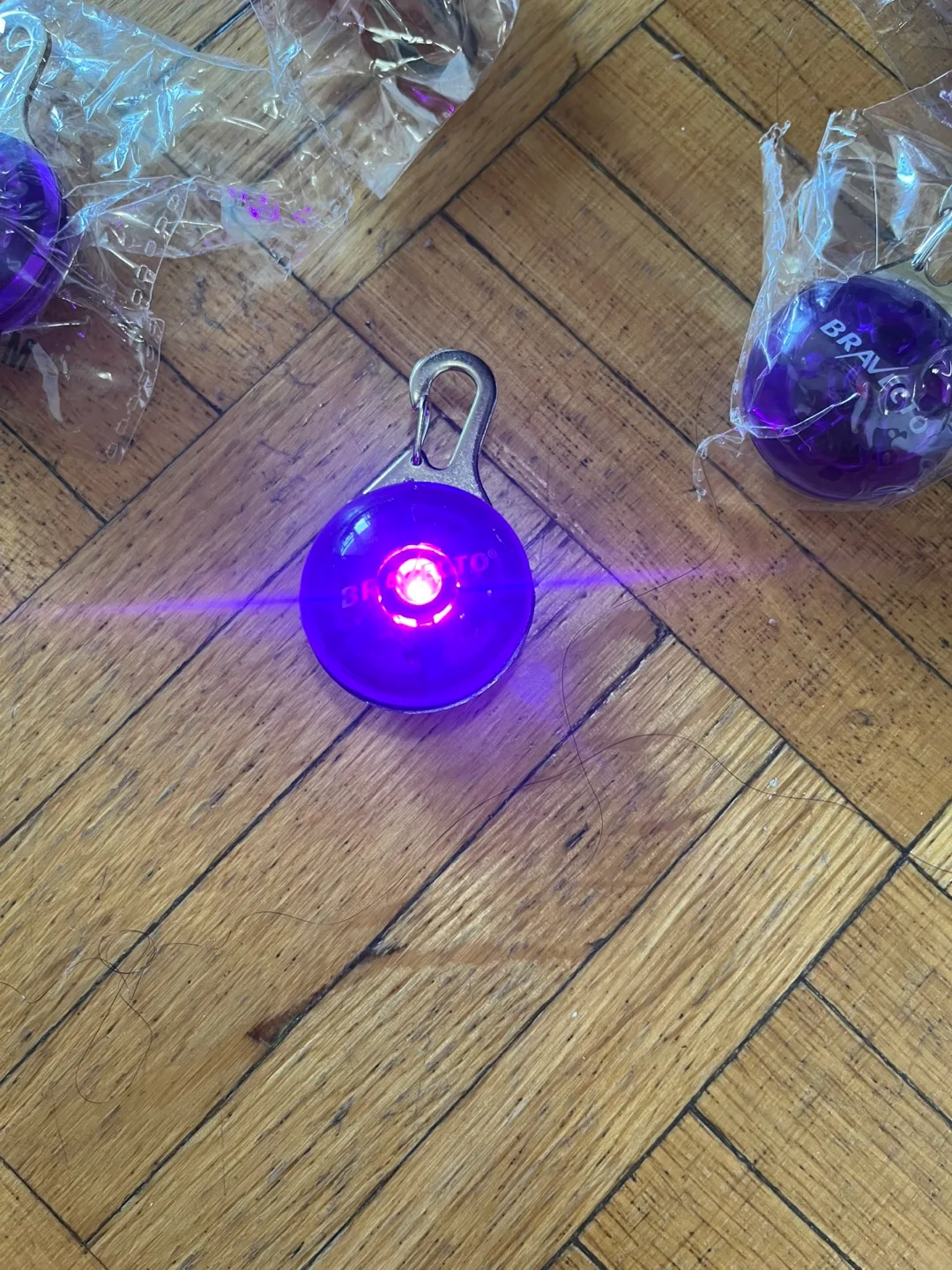 Bravecto Pet Lights image indicator(3)