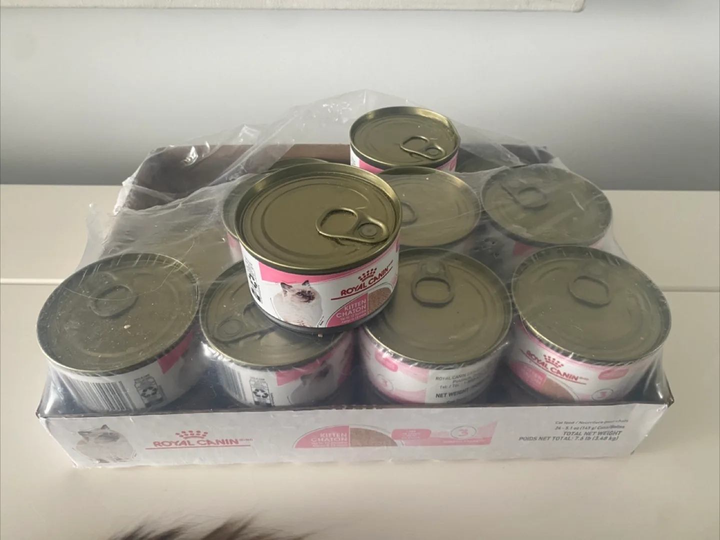 Royal Canin Kitten 5.1oz wet cat food - 20 cans thumbnail